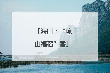 海口：“琼山福稻”香