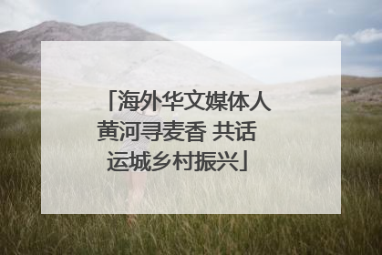 海外华文媒体人黄河寻麦香 共话运城乡村振兴