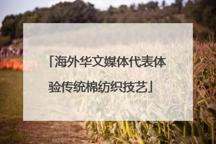 海外华文媒体代表体验传统棉纺织技艺