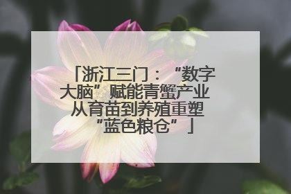 浙江三门：“数字大脑”赋能青蟹产业 从育苗到养殖重塑“蓝色粮仓”