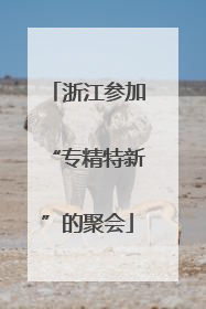 浙江参加“专精特新”的聚会