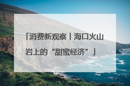 消费新观察丨海口火山岩上的“甜蜜经济”