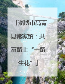 淄博市高青县常家镇：共富路上“一路生花”