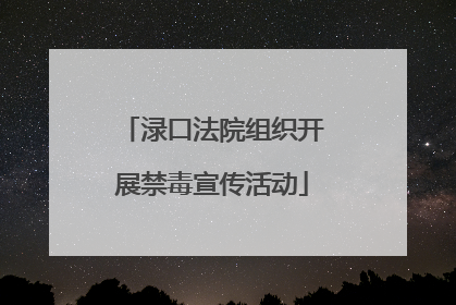 渌口法院组织开展禁毒宣传活动