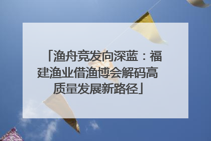 渔舟竞发向深蓝：福建渔业借渔博会解码高质量发展新路径