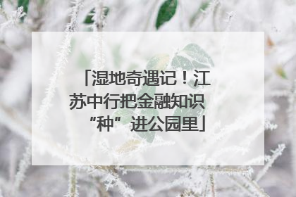 湿地奇遇记！江苏中行把金融知识“种”进公园里