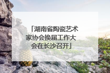 湖南省陶瓷艺术家协会换届工作大会在长沙召开