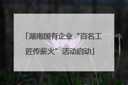 湖南国有企业“百名工匠传薪火”活动启动