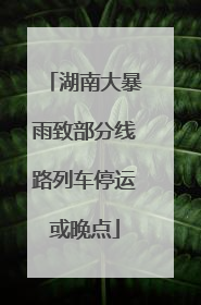 湖南大暴雨致部分线路列车停运或晚点