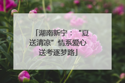 湖南新宁：“夏送清凉”情系爱心送考逐梦路