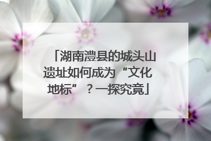 湖南澧县的城头山遗址如何成为“文化地标”？一探究竟