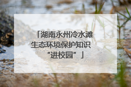 湖南永州冷水滩生态环境保护知识“进校园”