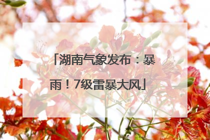 湖南气象发布：暴雨！7级雷暴大风