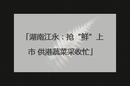 湖南江永：抢“鲜”上市 供港蔬菜采收忙