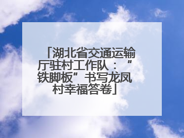 湖北省交通运输厅驻村工作队：“铁脚板”书写龙凤村幸福答卷