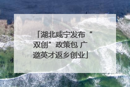 湖北咸宁发布“双创”政策包 广邀英才返乡创业