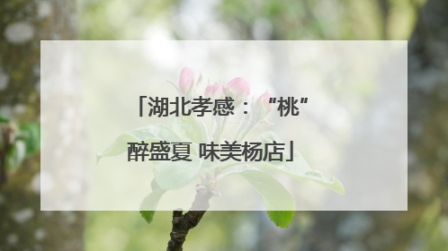 湖北孝感：“桃”醉盛夏 味美杨店