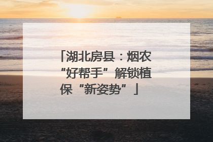 湖北房县：烟农“好帮手”解锁植保“新姿势”
