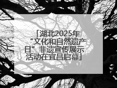 湖北2025年“文化和自然遗产日”非遗宣传展示活动在宜昌启幕