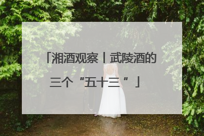 湘酒观察丨武陵酒的三个“五十三 ”