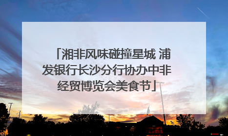 湘非风味碰撞星城 浦发银行长沙分行协办中非经贸博览会美食节