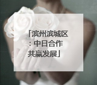 滨州滨城区：中日合作 共赢发展