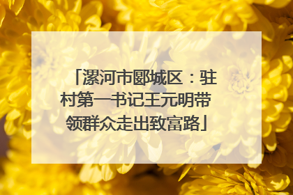 漯河市郾城区：驻村第一书记王元明带领群众走出致富路