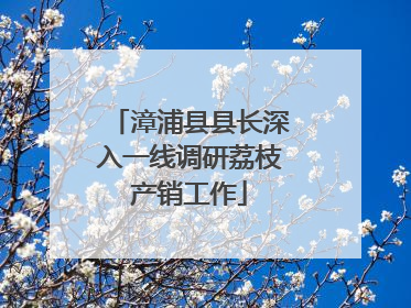 漳浦县县长深入一线调研荔枝产销工作