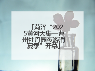 菏泽“2025黄河大集—曹州牡丹园夜游消夏季”开幕