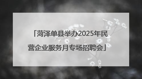 菏泽单县举办2025年民营企业服务月专场招聘会