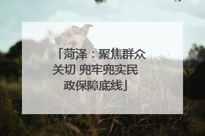 菏泽：聚焦群众关切 兜牢兜实民政保障底线