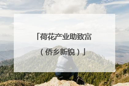 荷花产业助致富（侨乡新貌）