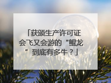 获颁生产许可证 会飞又会游的“鲲龙”到底有多牛？