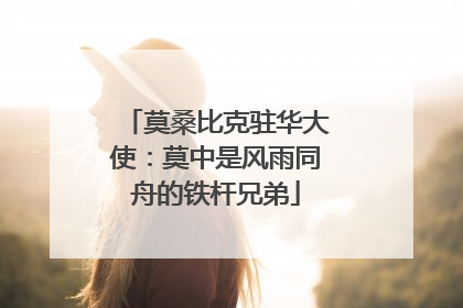 莫桑比克驻华大使：莫中是风雨同舟的铁杆兄弟