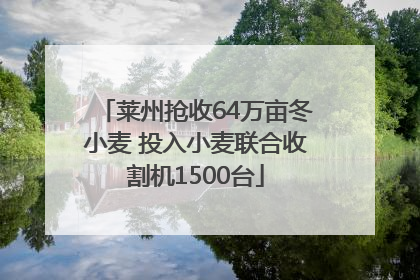 莱州抢收64万亩冬小麦 投入小麦联合收割机1500台