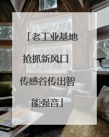 老工业基地抢抓新风口 传感谷传出智能强音