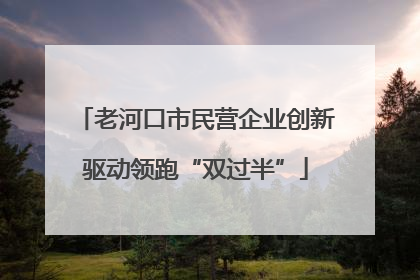 老河口市民营企业创新驱动领跑“双过半”