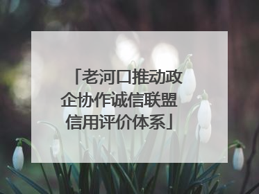 老河口推动政企协作诚信联盟信用评价体系