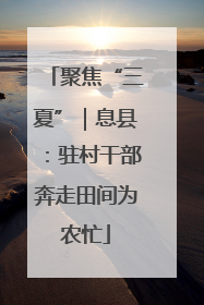 聚焦“三夏”｜息县：驻村干部奔走田间为农忙
