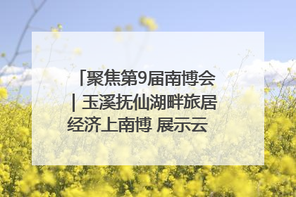 聚焦第9届南博会｜玉溪抚仙湖畔旅居经济上南博 展示云南生活新样本