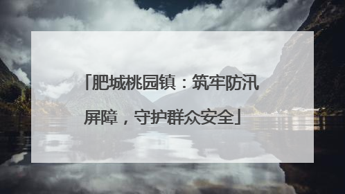 肥城桃园镇：筑牢防汛屏障，守护群众安全