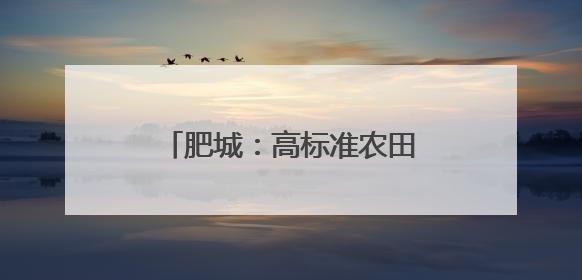 肥城：高标准农田绘就好“丰”光
