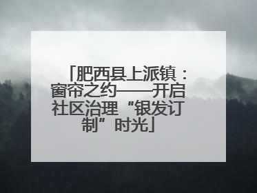 肥西县上派镇：窗帘之约——开启社区治理“银发订制”时光