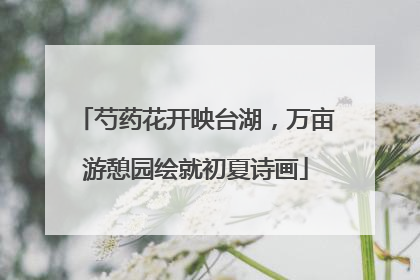 芍药花开映台湖，万亩游憩园绘就初夏诗画
