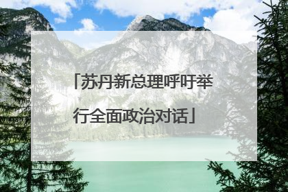 苏丹新总理呼吁举行全面政治对话