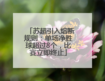 苏超引入熔断规则：单场净胜球超过8个，比赛立即终止