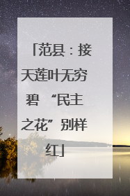 范县：接天莲叶无穷碧 “民主之花”别样红