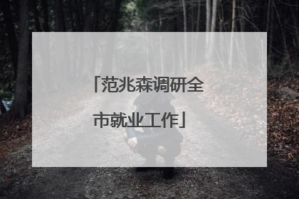 范兆森调研全市就业工作