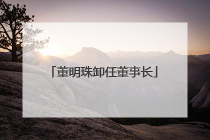 董明珠卸任董事长