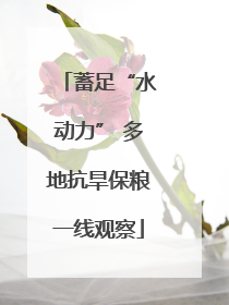 蓄足“水动力” 多地抗旱保粮一线观察